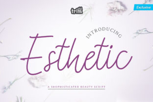 Adding a Romantic Touch to Your Crafting Projects with Esthetic Script