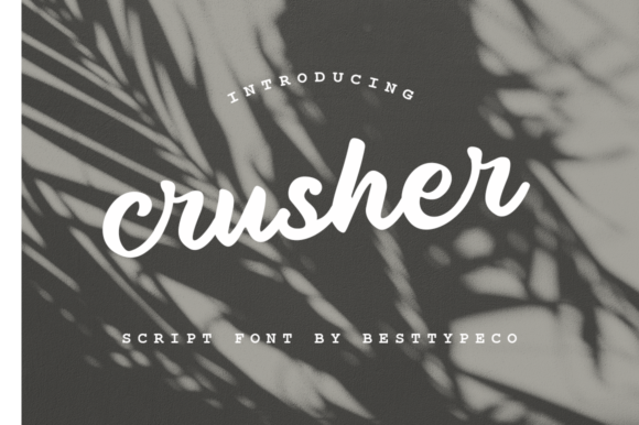 Crusher: Your Sincerely Lighthearted DIY Partner